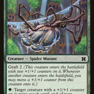 Aquastrand Spider