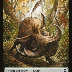 Boar