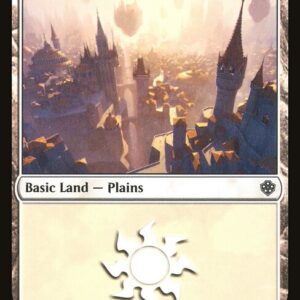 Plains