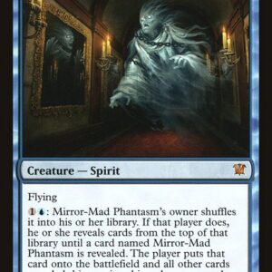 Mirror-Mad Phantasm