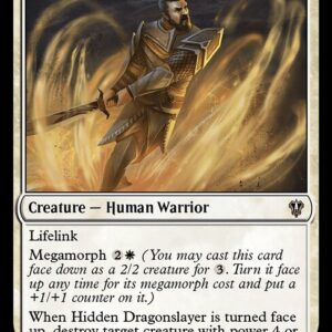 Hidden Dragonslayer