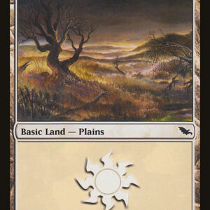 Plains