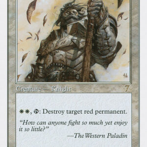 Southern Paladin