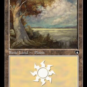 Plains
