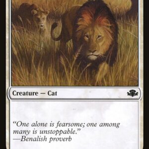 Savannah Lions