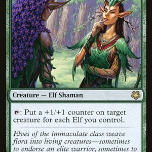 Immaculate Magistrate