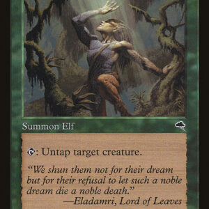 Seeker of Skybreak
