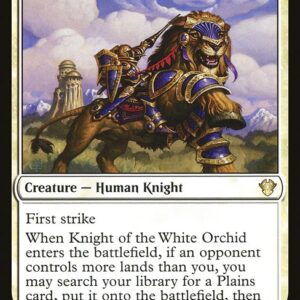 Knight of the White Orchid