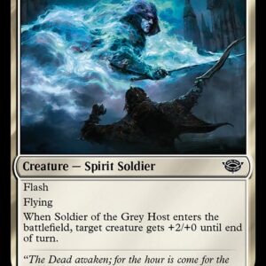 Soldier of the Grey Host