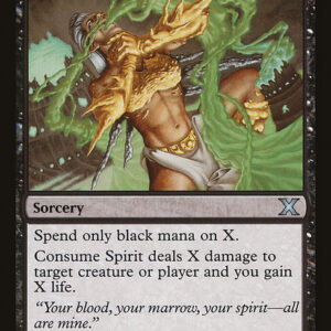 Consume Spirit