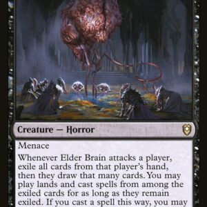 Elder Brain