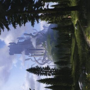 Forest // Forest