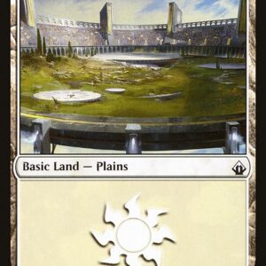 Plains