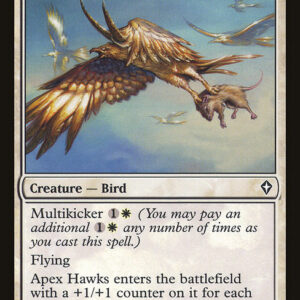 Apex Hawks