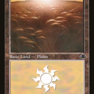 Plains