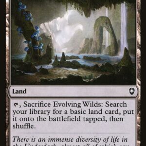Evolving Wilds