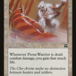 Pious Warrior