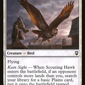 Scouting Hawk