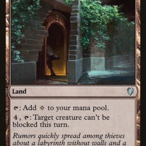 Rogue's Passage