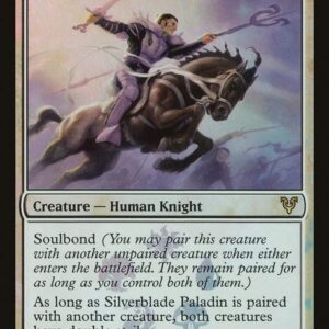 Silverblade Paladin