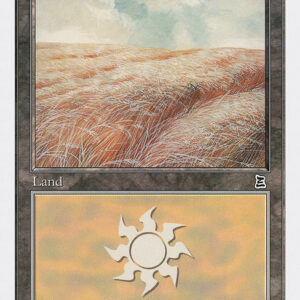 Plains