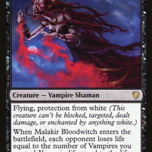 Malakir Bloodwitch