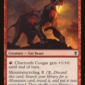 Chartooth Cougar