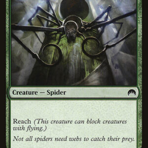 Hitchclaw Recluse