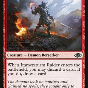 Immersturm Raider