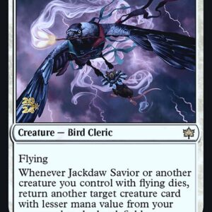 Jackdaw Savior