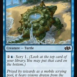 Tidepool Turtle