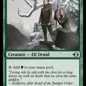 Fyndhorn Elves