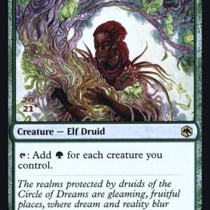 Circle of Dreams Druid
