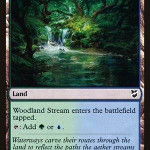 Woodland Stream
