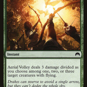 Aerial Volley