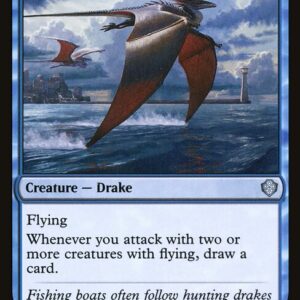 Tide Skimmer