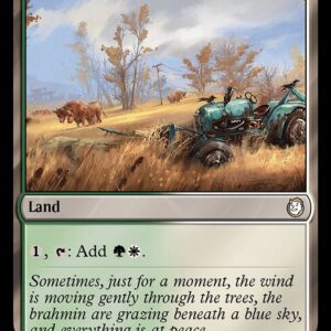 Sungrass Prairie