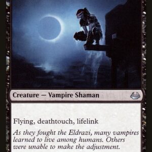 Vampire Nighthawk