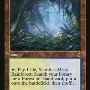 Misty Rainforest