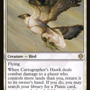 Cartographer's Hawk