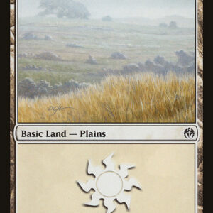 Plains