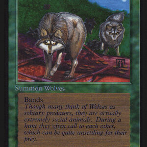 Timber Wolves