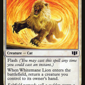 Whitemane Lion
