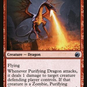 Purifying Dragon