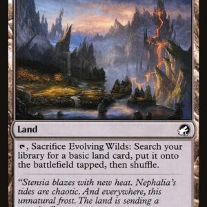 Evolving Wilds