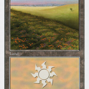 Plains
