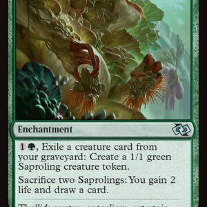 Fungal Plots