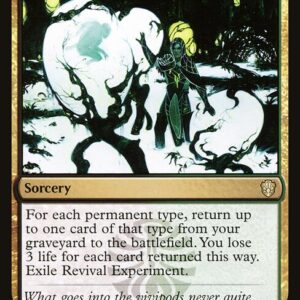 Revival Experiment
