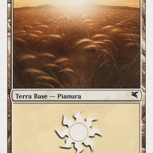 Plains