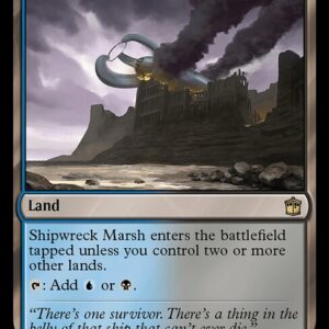 Shipwreck Marsh